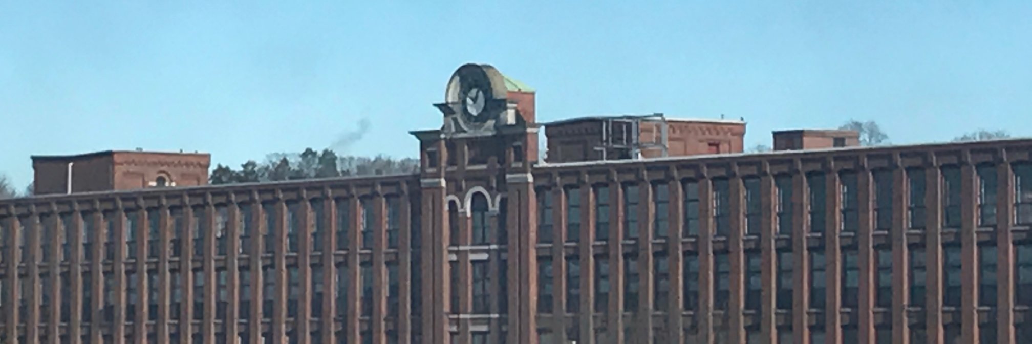 paleynadel's profile banner image