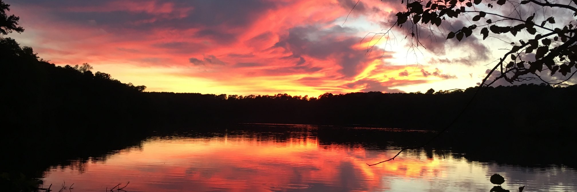 wluttrell's profile banner image