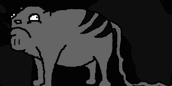 adventures_cat's profile banner image