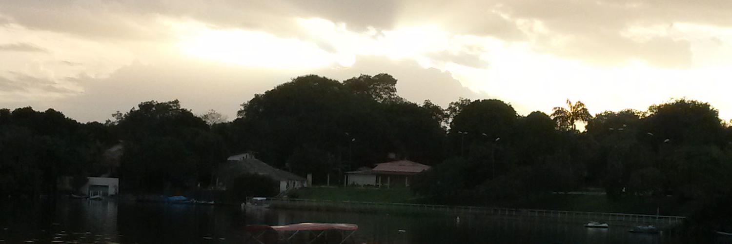 bronsonbraga's profile banner image
