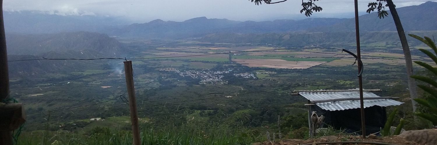 dacollazosp's profile banner image