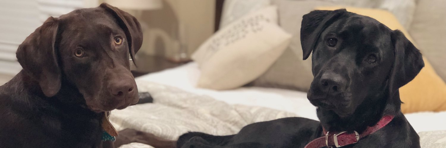 allitmarsh's profile banner image