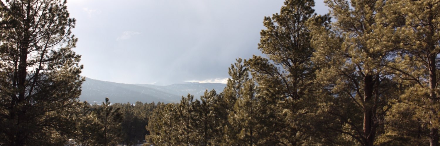AleeBrewer's profile banner image