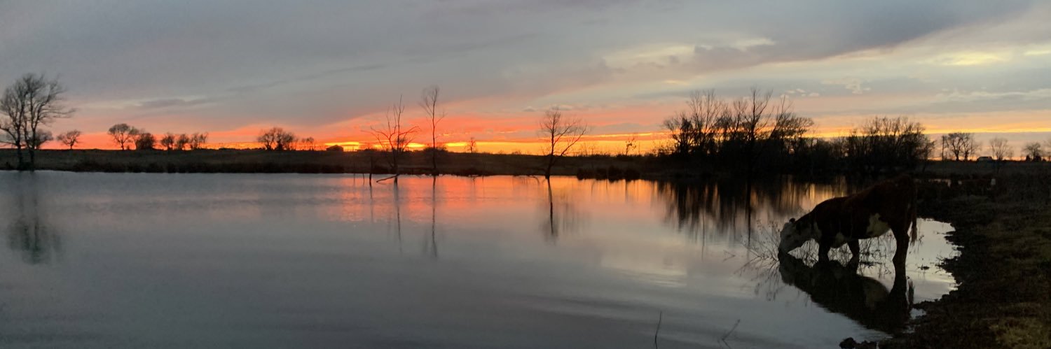 anna_campy's profile banner image