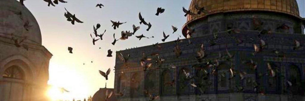 noura2_77's profile banner image
