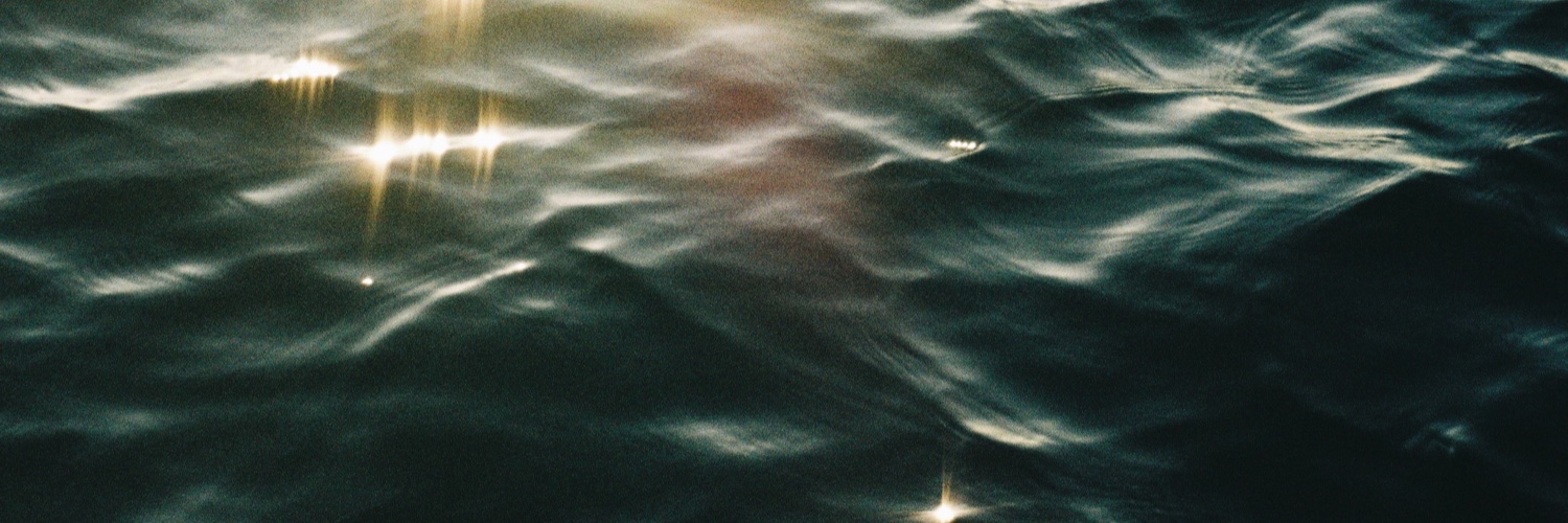 TaylerForrester's profile banner image