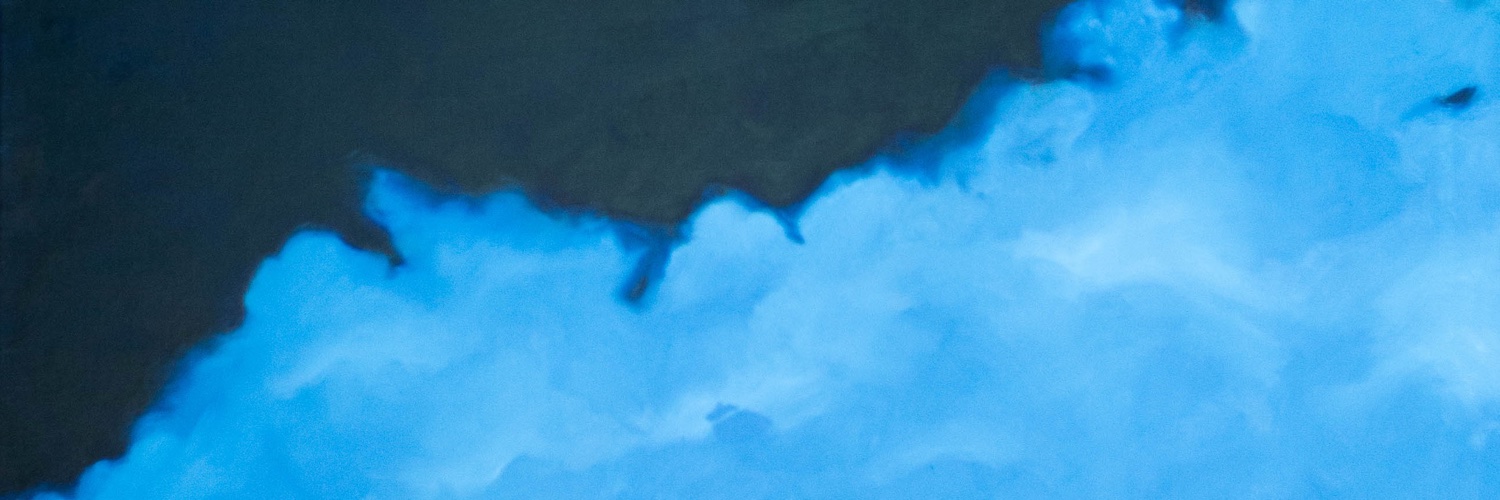 botichelli's profile banner image