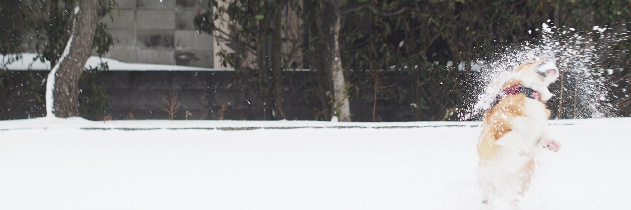 jeetomo's profile banner image