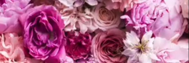 kittykate1234's profile banner image