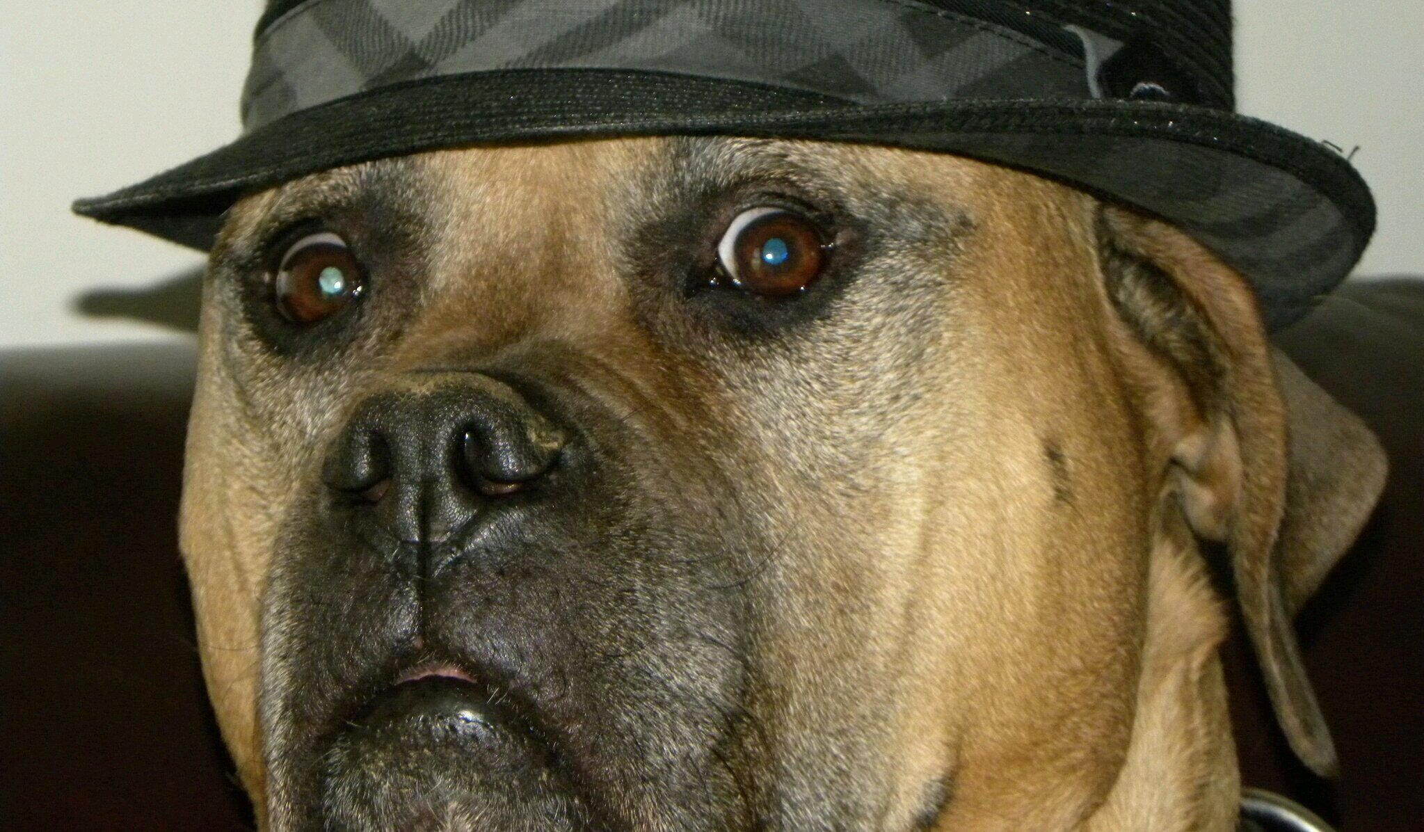 tpodvorec's profile banner image