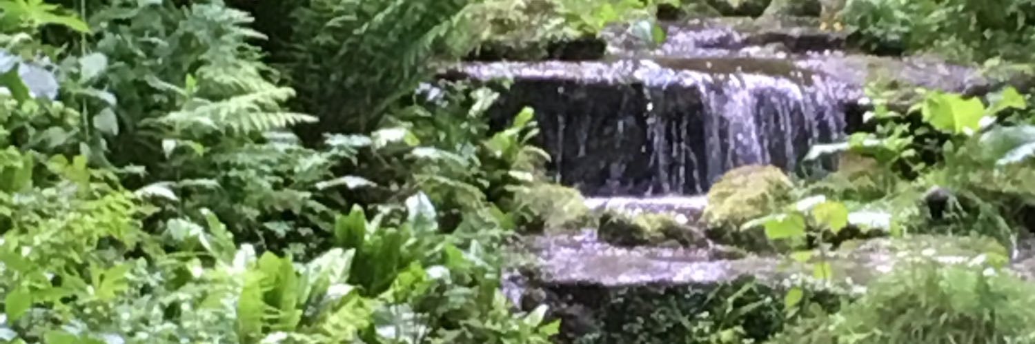 laird_boldy's profile banner image