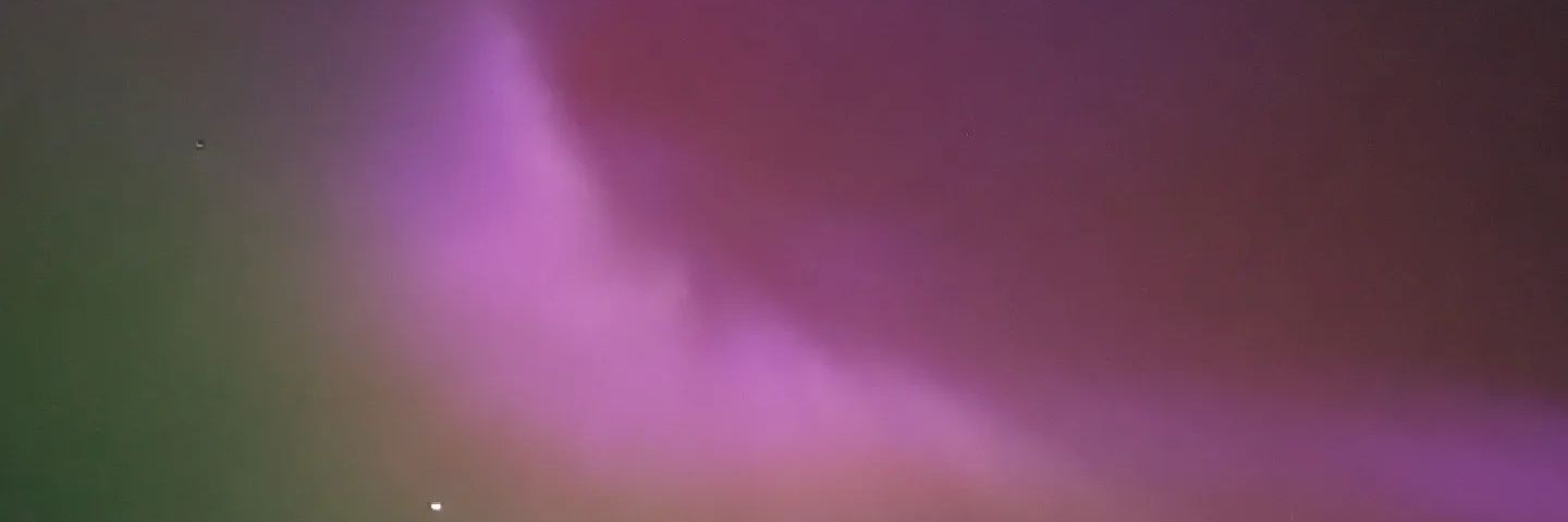 Cait 💚🌲 banner