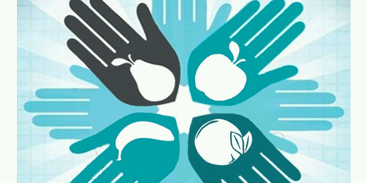 Hhc4o's profile banner image