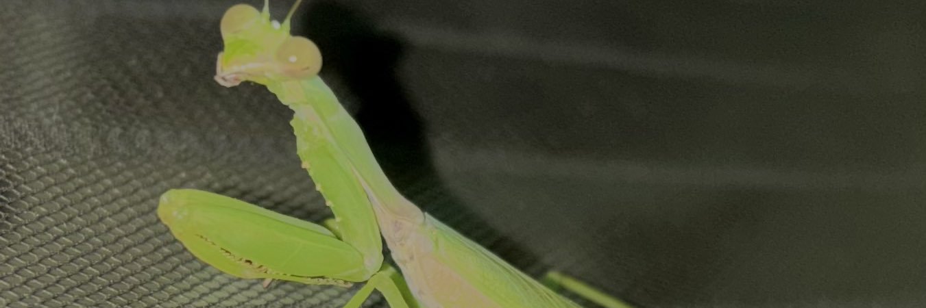 Alberta Strong banner