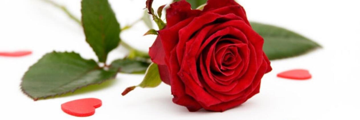 GeraldTwigge's profile banner image