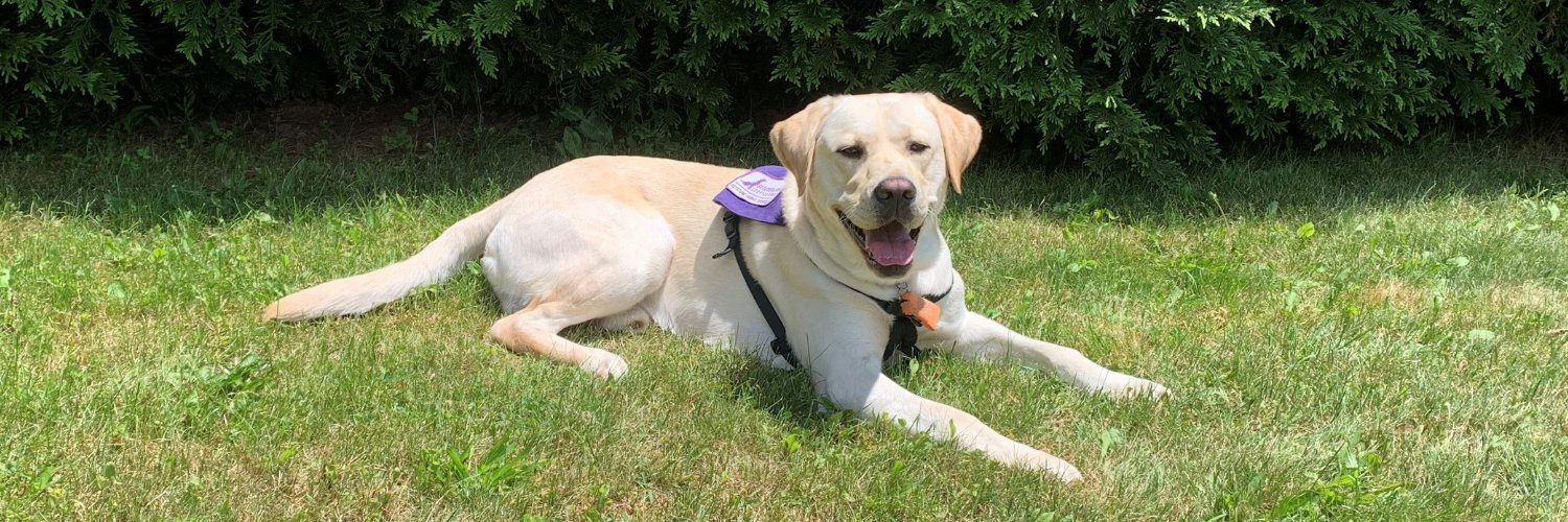 Susquehanna Service Dogs banner