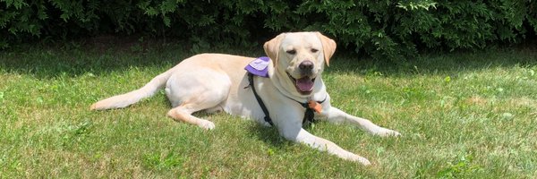 SSDOGS Profile Banner