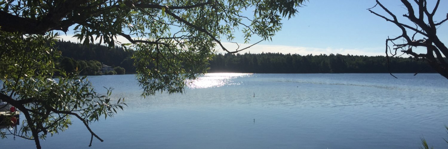 Peter Ottosson banner