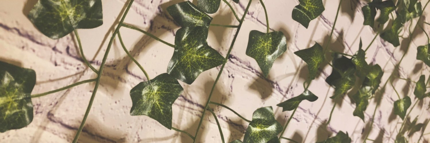 Styna Lane 🦓 banner