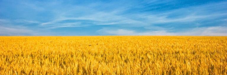 becca last name rhymes with fresh banner