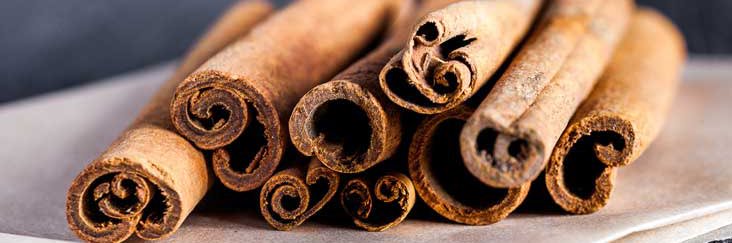 Unauthorized Cinnamon banner