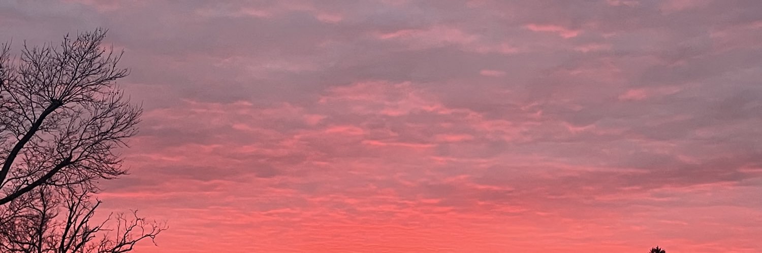 Ray_Eli_'s profile banner image