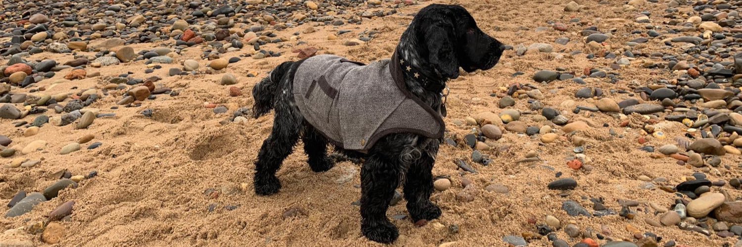 Naima Jackson banner