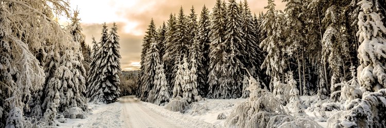 maksim__krd's profile banner image
