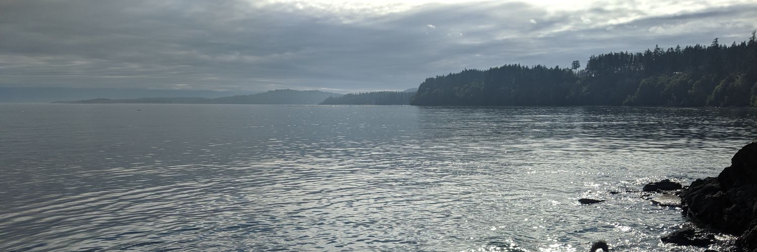 Tony Smerychynski banner