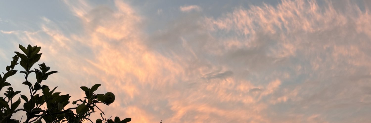 vr_cele's profile banner image
