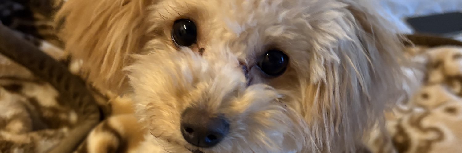 ____yuuui___'s profile banner image