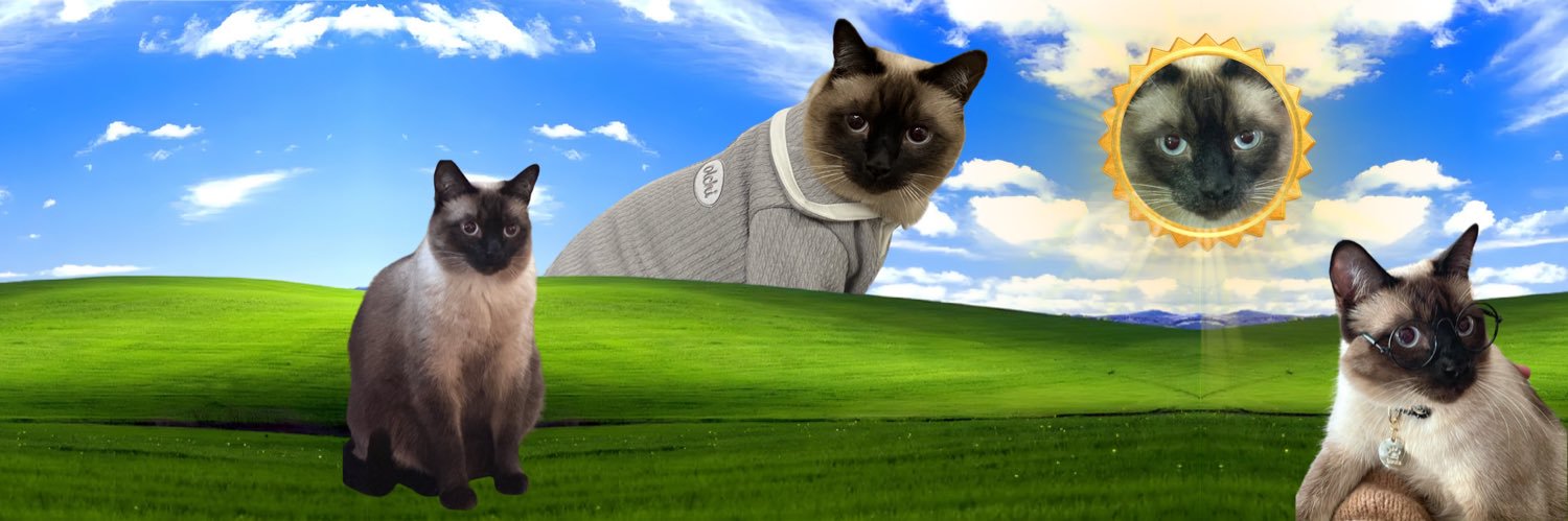 baimauns's profile banner image