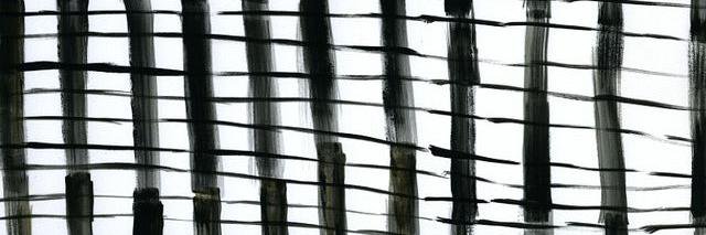 aclairebear banner