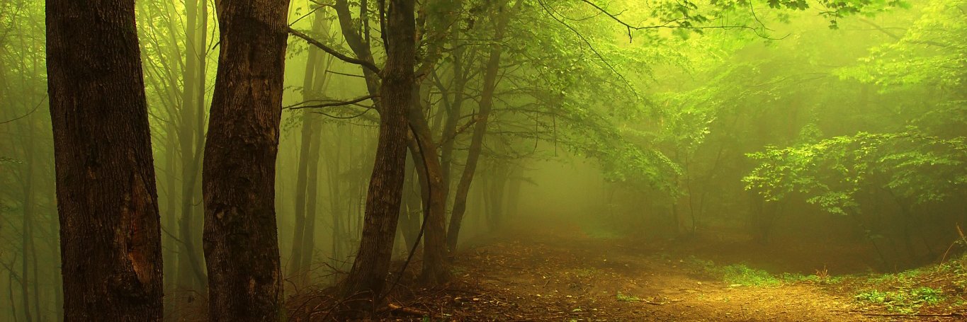 Airen DeLaMater banner