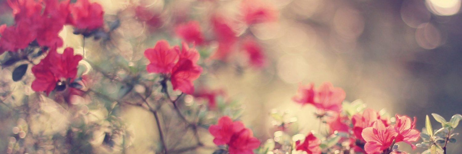 dolly123_'s profile banner image