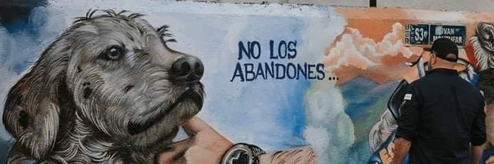 Andres Rivas V banner