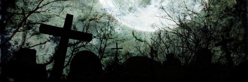 pinkprophet's profile banner image