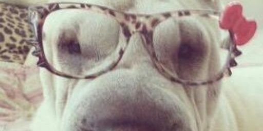 pattyriv94's profile banner image