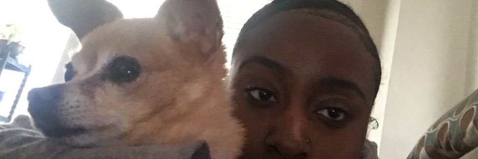 danejax3's profile banner image