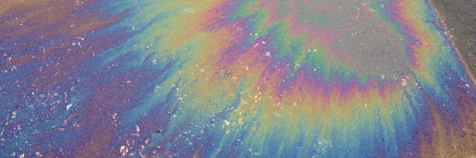 lolarainbows's profile banner image
