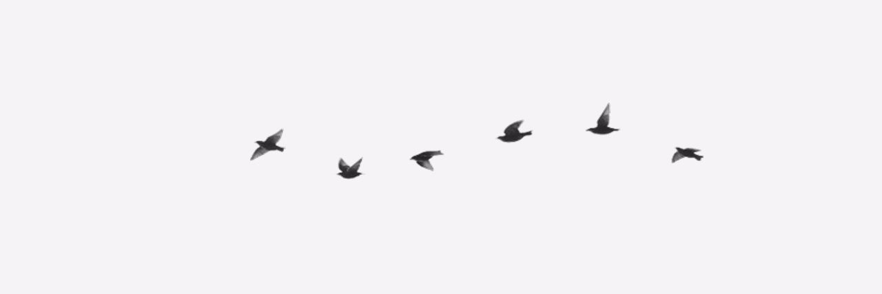 nee_mayo's profile banner image