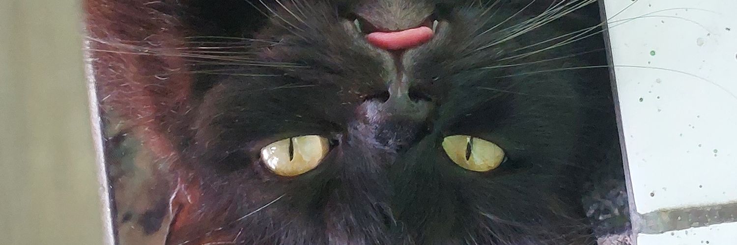 Lekercrisp's profile banner image