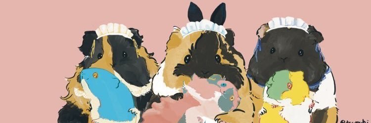 you1026rode's profile banner image