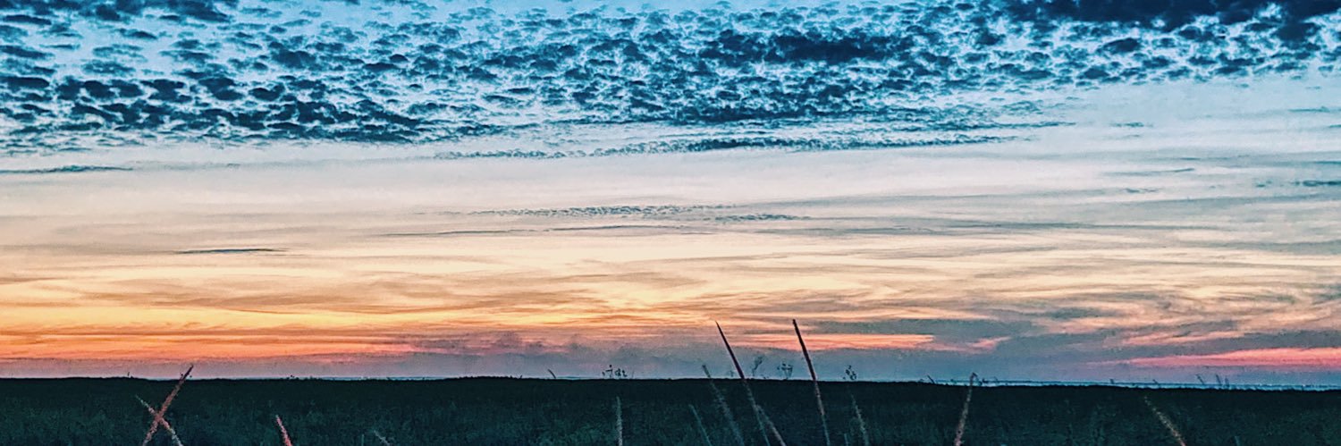 Voyt_E's profile banner image