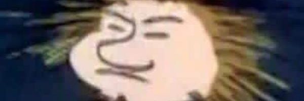 levyschuurman's profile banner image