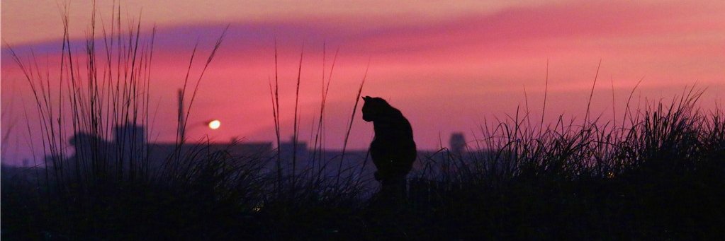 EBarrett65's profile banner image