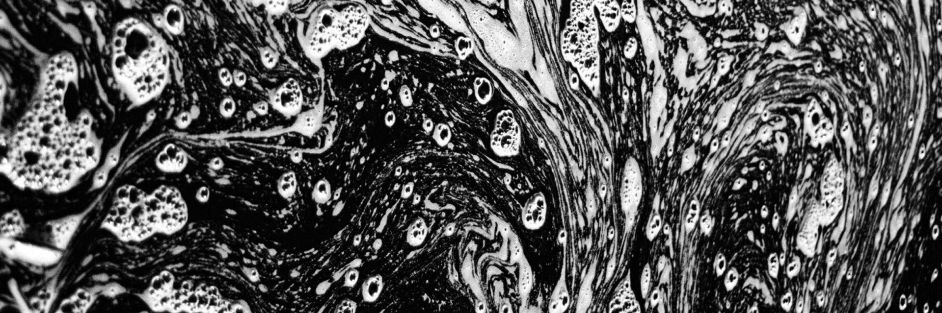 NewBridgeBooks's profile banner image