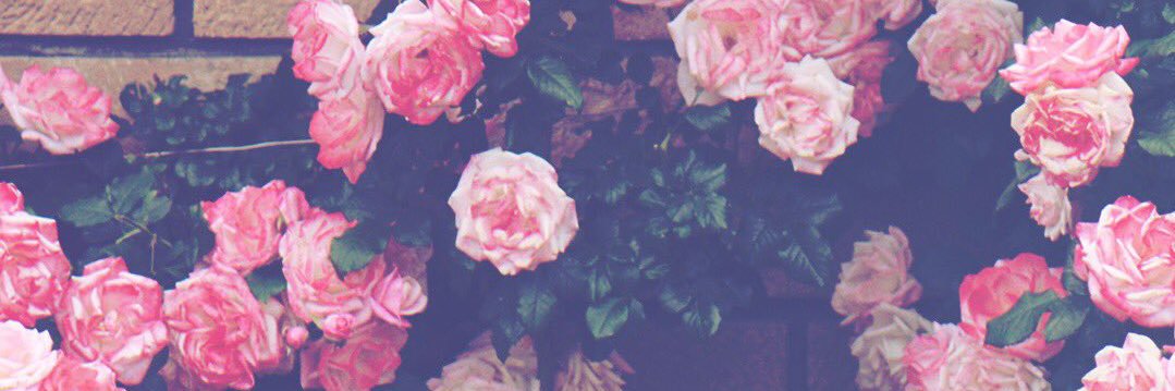 Contrition1999's profile banner image