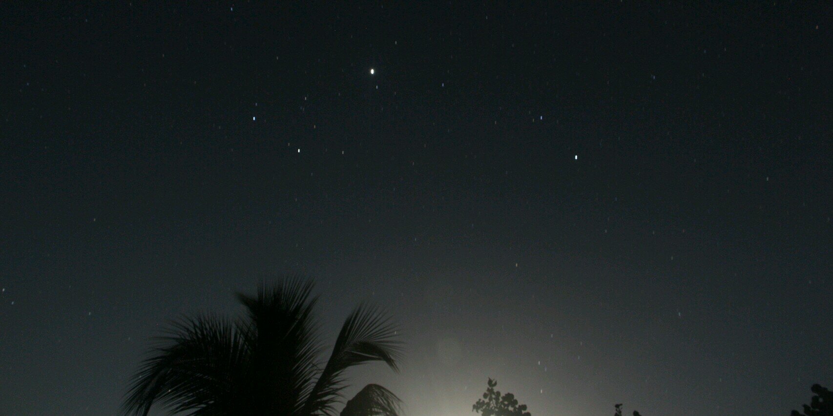 laurafandez's profile banner image
