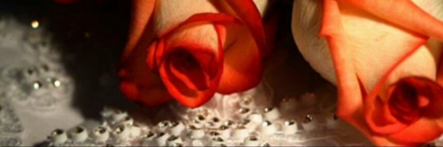 hai851's profile banner image